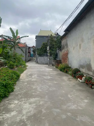 Bất động sản tại Hải Phòng - ảnh 1