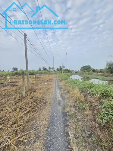 Bất động sản tại Long An - ảnh 1