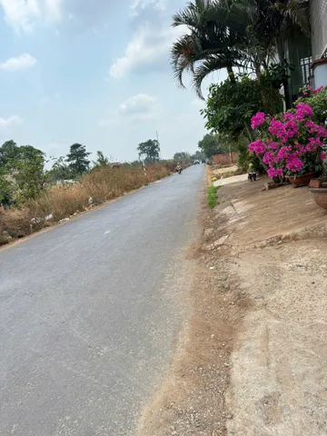 Bất động sản tại Đắk Lắk - ảnh 1