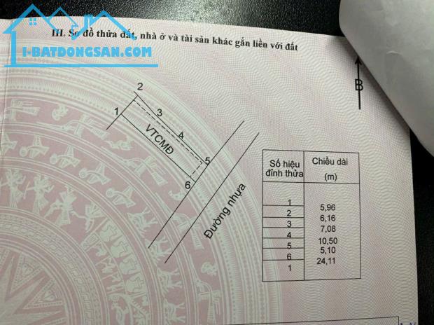 Bất động sản tại Bà Rịa - Vũng Tàu - ảnh 1