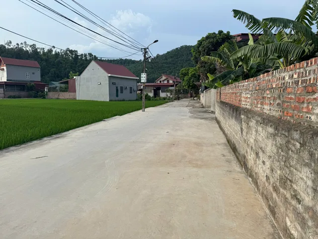 Bất động sản tại Hải Phòng - ảnh 1