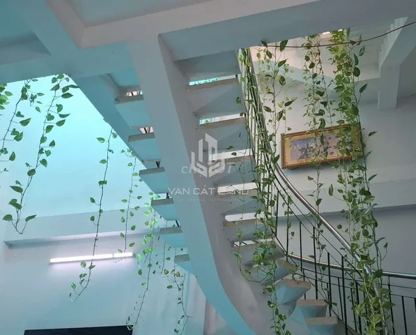 Bất động sản tại Bà Rịa - Vũng Tàu - ảnh 1