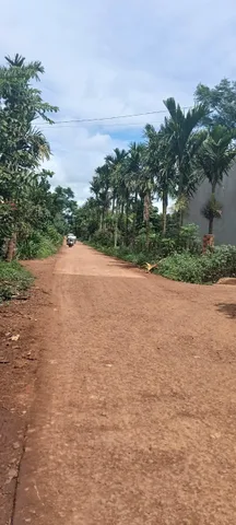 Bất động sản tại Đắk Lắk - ảnh 1