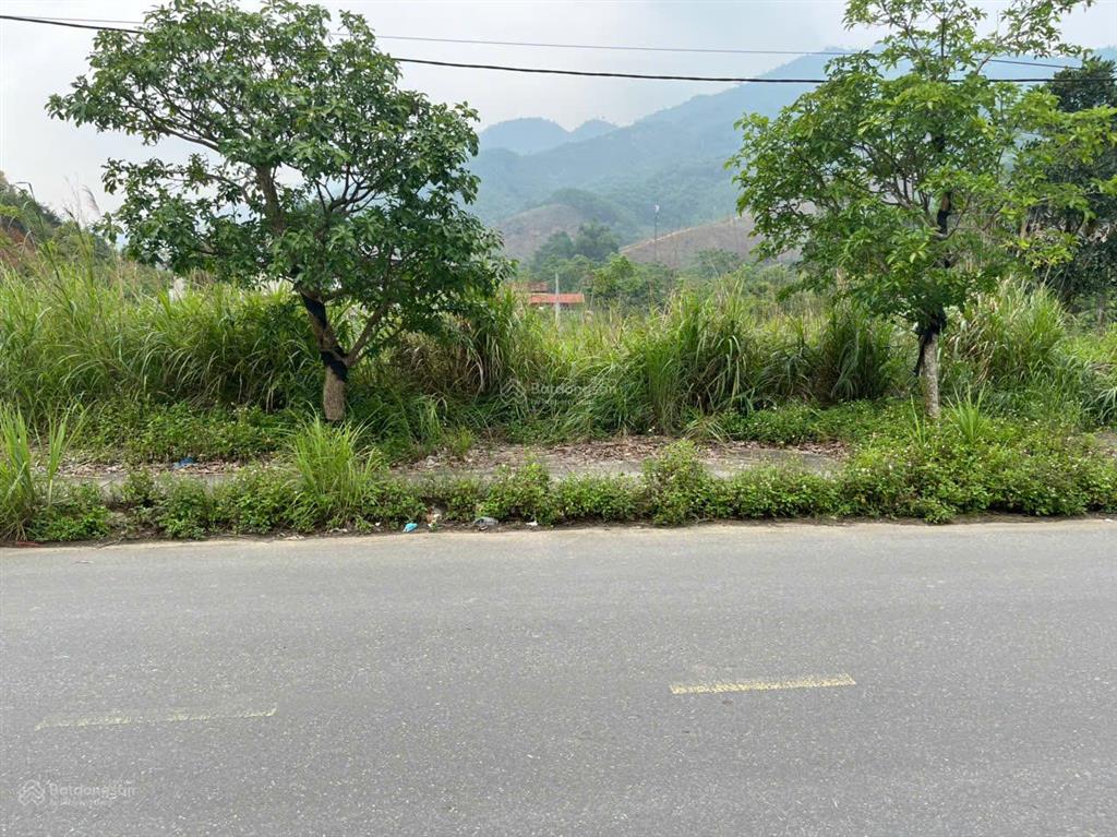 Bất động sản tại Thanh Hóa - ảnh 1