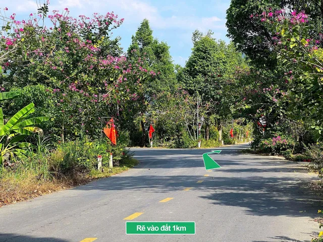 Bất động sản tại Lâm Đồng - ảnh 1