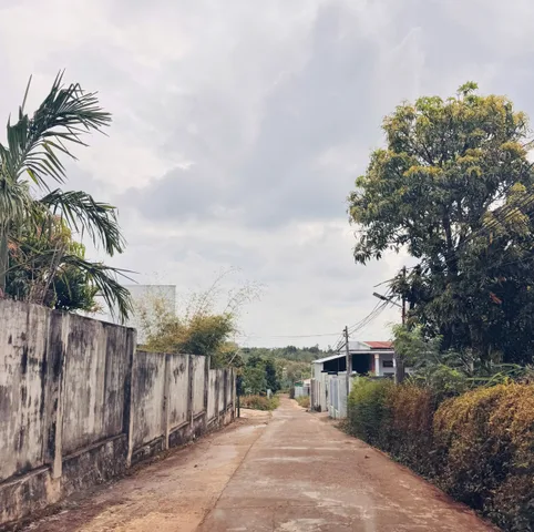 Bất động sản tại Đắk Lắk - ảnh 1