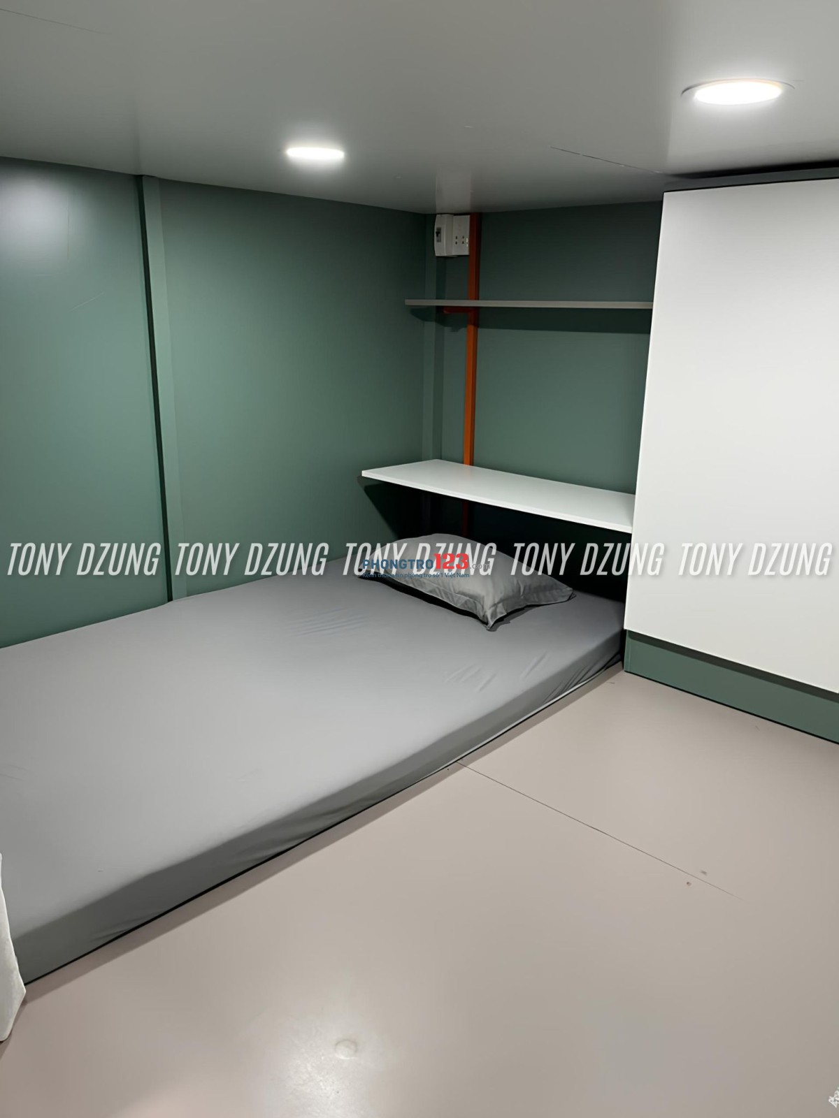 Bất động sản tại TP. Hồ Chí Minh - ảnh 1