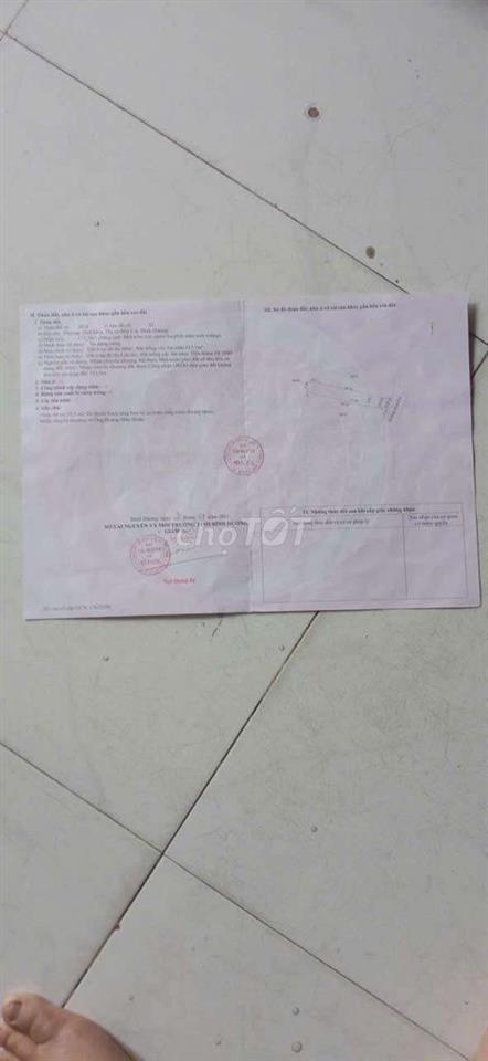Bất động sản tại Bình Dương - ảnh 1