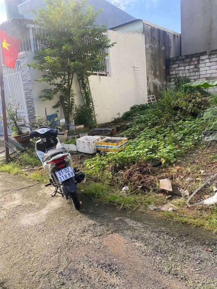 Bất động sản tại Bình Dương - ảnh 1