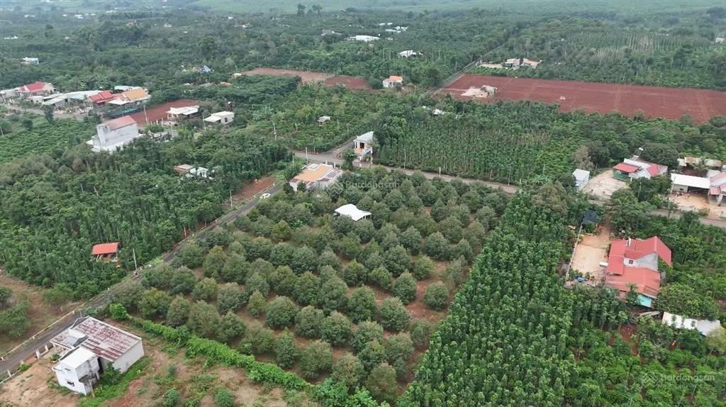 Bất động sản tại Bà Rịa - Vũng Tàu - ảnh 1