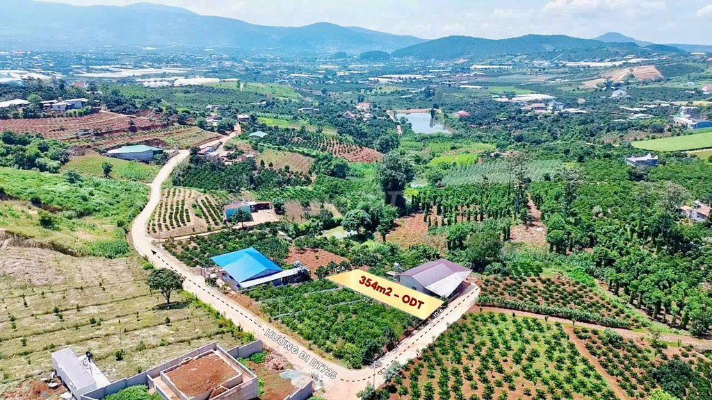Bất động sản tại Lâm Đồng - ảnh 1