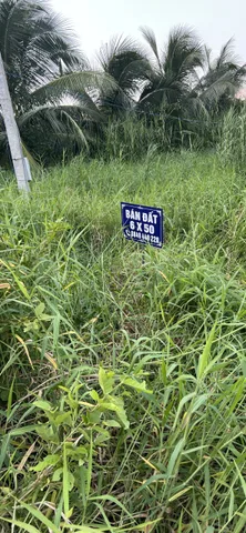 Bất động sản tại Cà Mau - ảnh 1