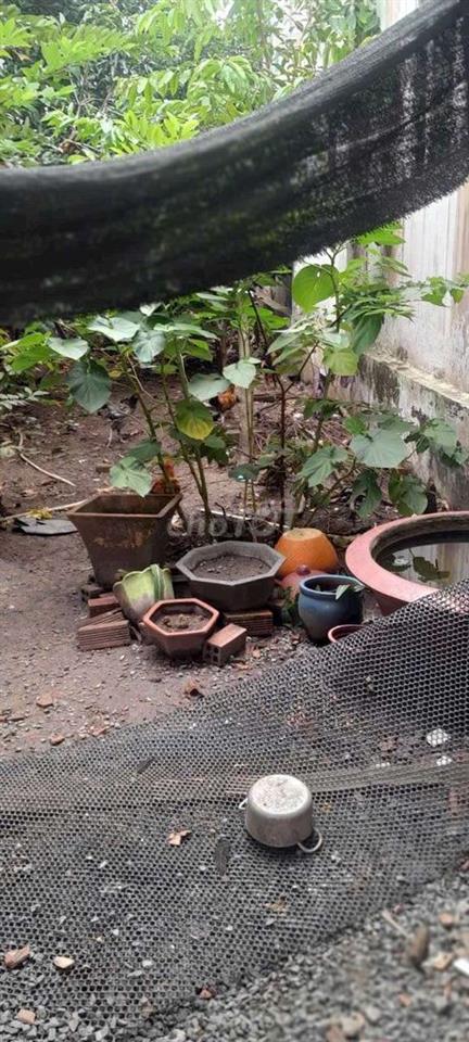 Bất động sản tại Bình Dương - ảnh 1