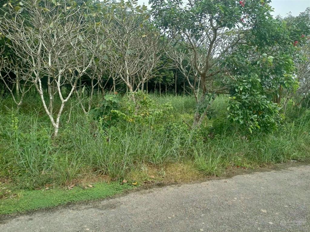 Bất động sản tại Bình Dương - ảnh 1