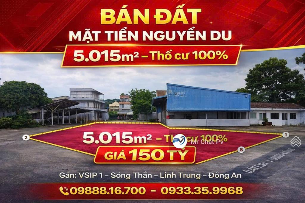 Bất động sản tại Bình Dương - ảnh 1