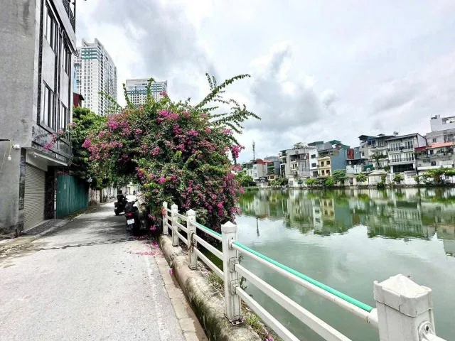 Bất động sản tại Hà Nội - ảnh 1