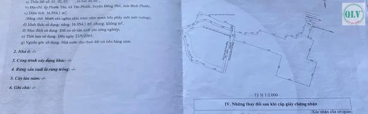 Bất động sản tại Bình Phước - ảnh 1