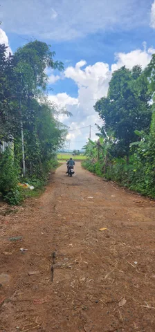 Bất động sản tại Đắk Lắk - ảnh 1