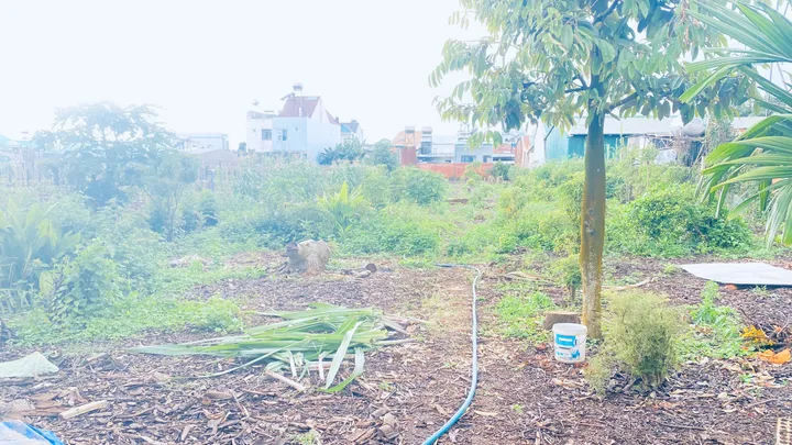 Bất động sản tại Lâm Đồng - ảnh 1