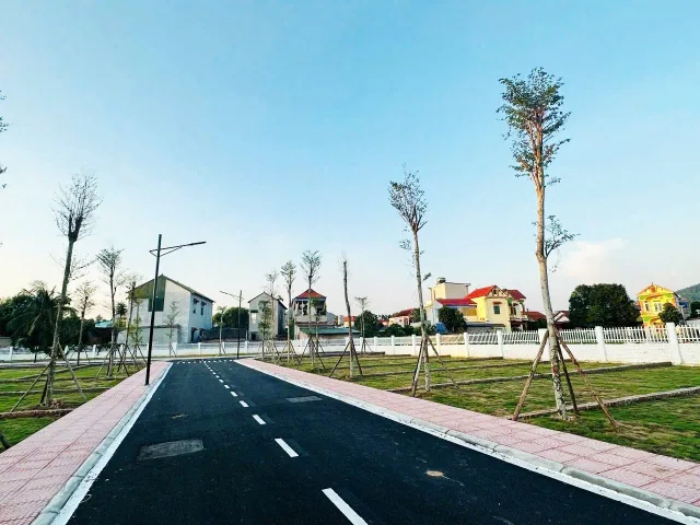Bất động sản tại Phú Thọ - ảnh 1
