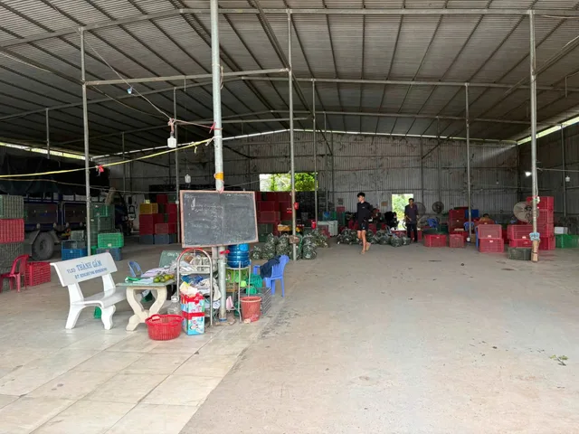 Bất động sản tại Vĩnh Long - ảnh 1