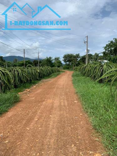 Bất động sản tại Bình Thuận - ảnh 1