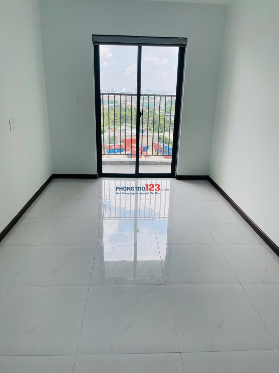 Bất động sản tại Bình Dương - ảnh 1
