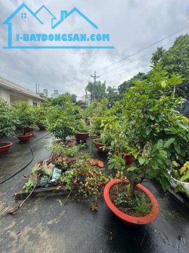 Bất động sản tại Bình Dương - ảnh 1