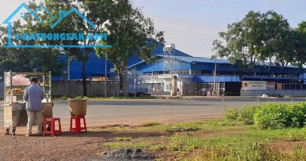 Bất động sản tại Bình Phước - ảnh 1
