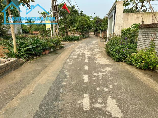 Bất động sản tại Hưng Yên - ảnh 1