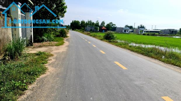 Bất động sản tại Long An - ảnh 1