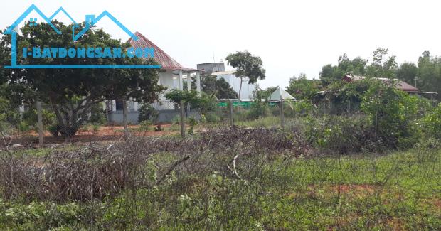 Bất động sản tại Bình Thuận - ảnh 1