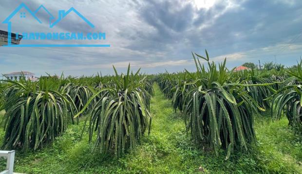 Bất động sản tại Bình Thuận - ảnh 1