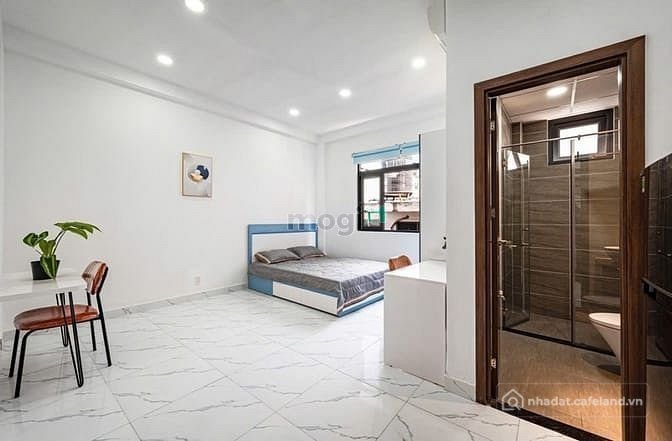 Bất động sản tại TP. Hồ Chí Minh - ảnh 1