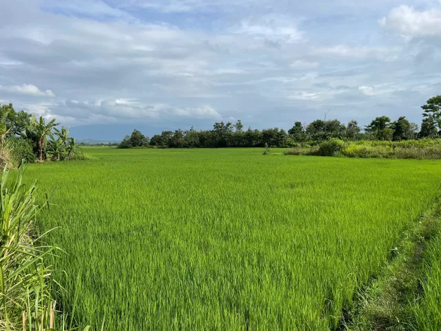 Bất động sản tại Đắk Lắk - ảnh 1