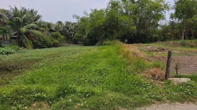 Bất động sản tại Bình Thuận - ảnh 1