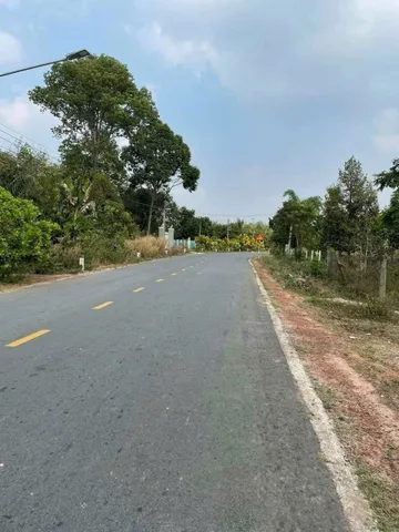 Bất động sản tại Bình Dương - ảnh 1
