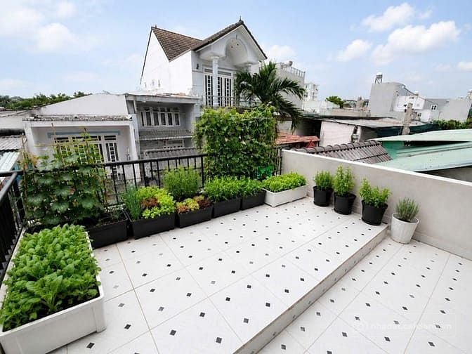 Bất động sản tại TP. Hồ Chí Minh - ảnh 1
