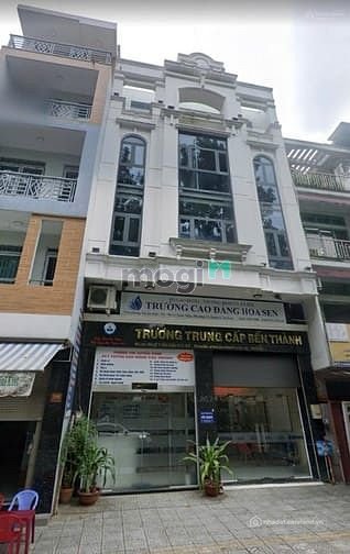 Bất động sản tại TP. Hồ Chí Minh - ảnh 1