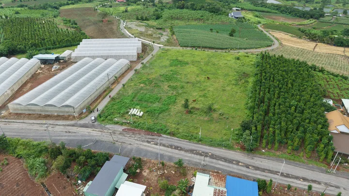Bất động sản tại Bà Rịa - Vũng Tàu - ảnh 1
