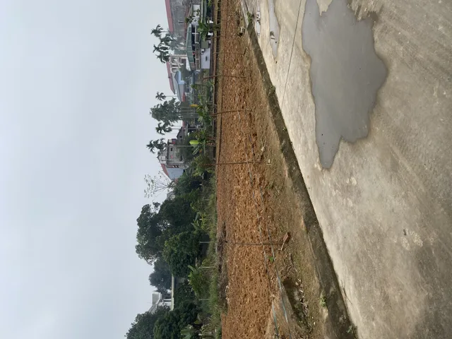 Bất động sản tại Phú Thọ - ảnh 1