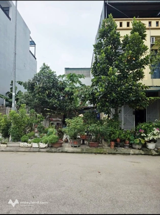Bất động sản tại Tây Ninh - ảnh 1