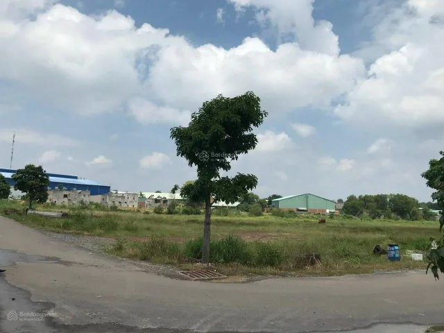 Bất động sản tại Bình Dương - ảnh 1