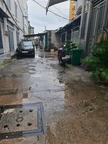Bất động sản tại TP. Hồ Chí Minh - ảnh 1