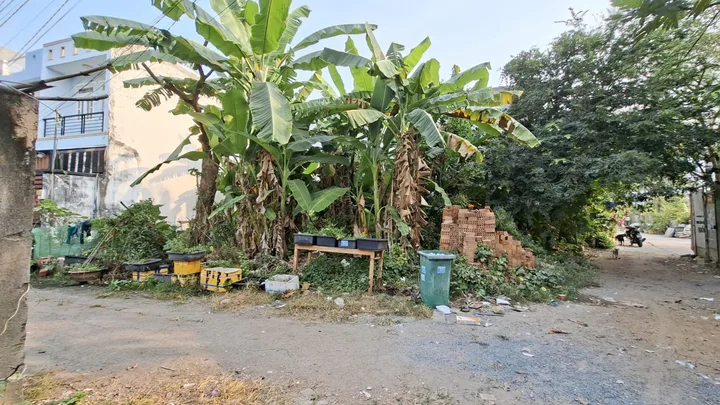 Bất động sản tại TP. Hồ Chí Minh - ảnh 1