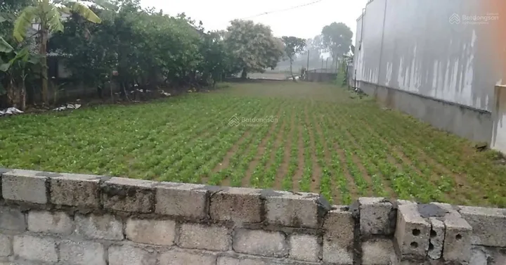 Bất động sản tại Thanh Hóa - ảnh 1