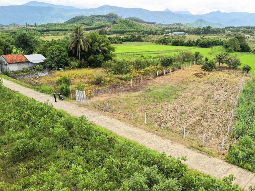 Bất động sản tại Khánh Hòa - ảnh 1