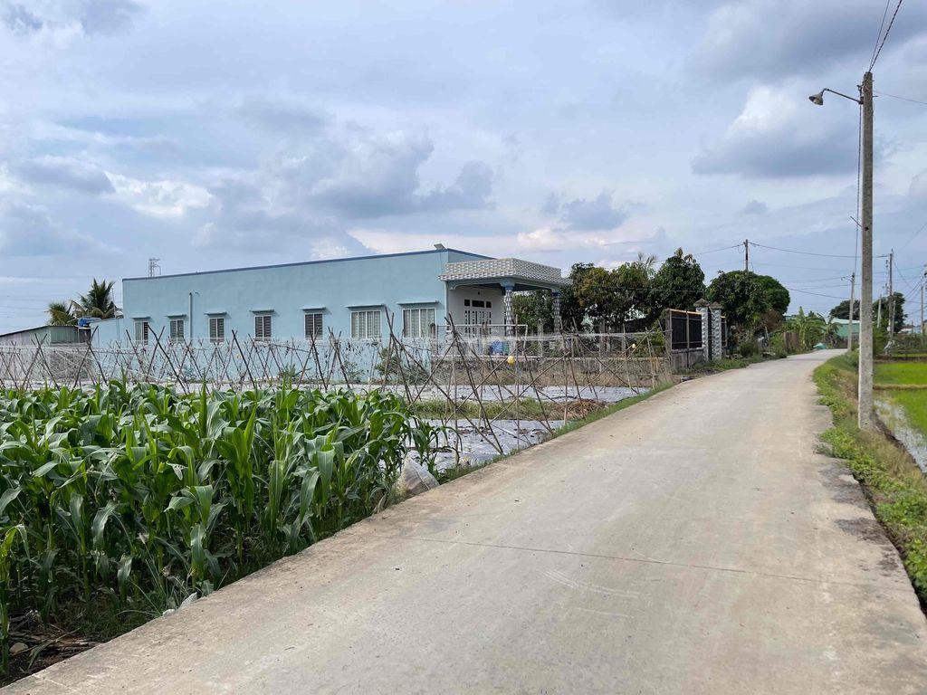 Bất động sản tại Long An - ảnh 1