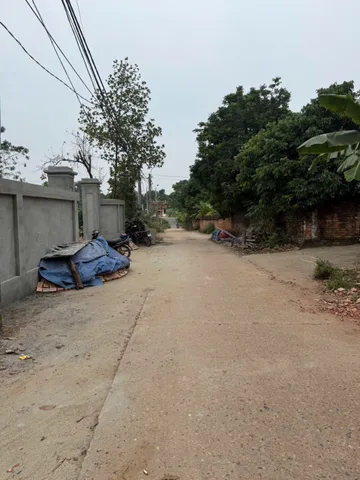 Bất động sản tại Phú Thọ - ảnh 1