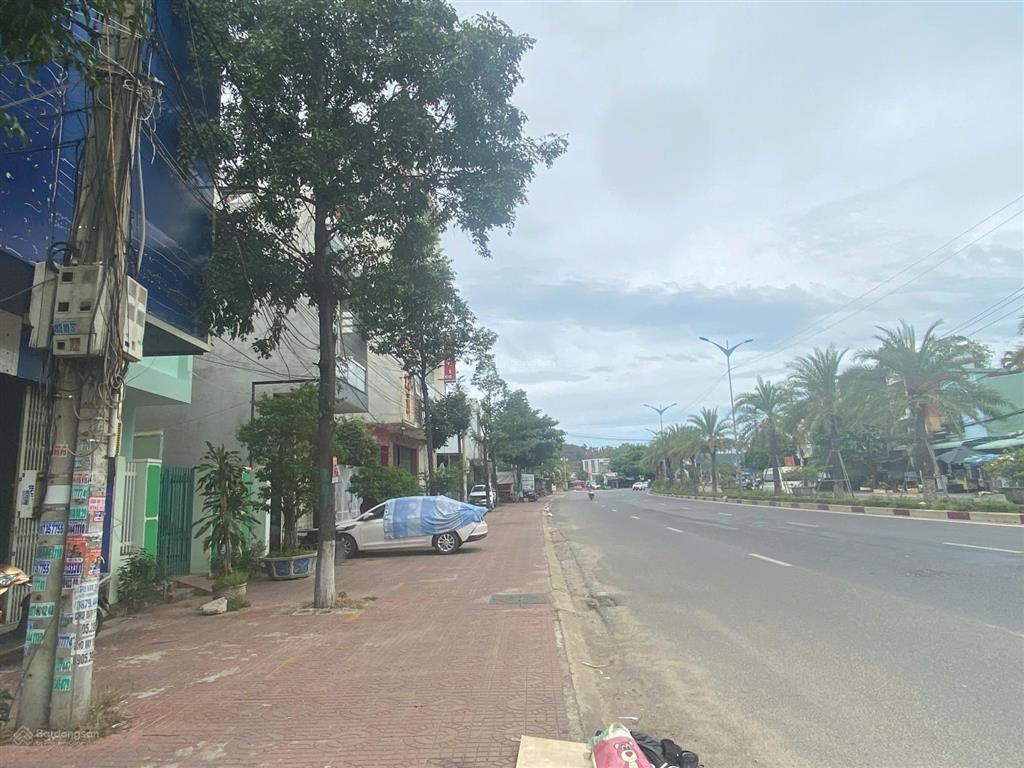 Bất động sản tại Bình Định - ảnh 1